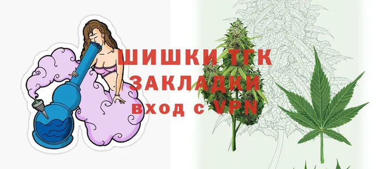 Канабис SATIVA & INDICA  купить закладку  Малая Вишера 